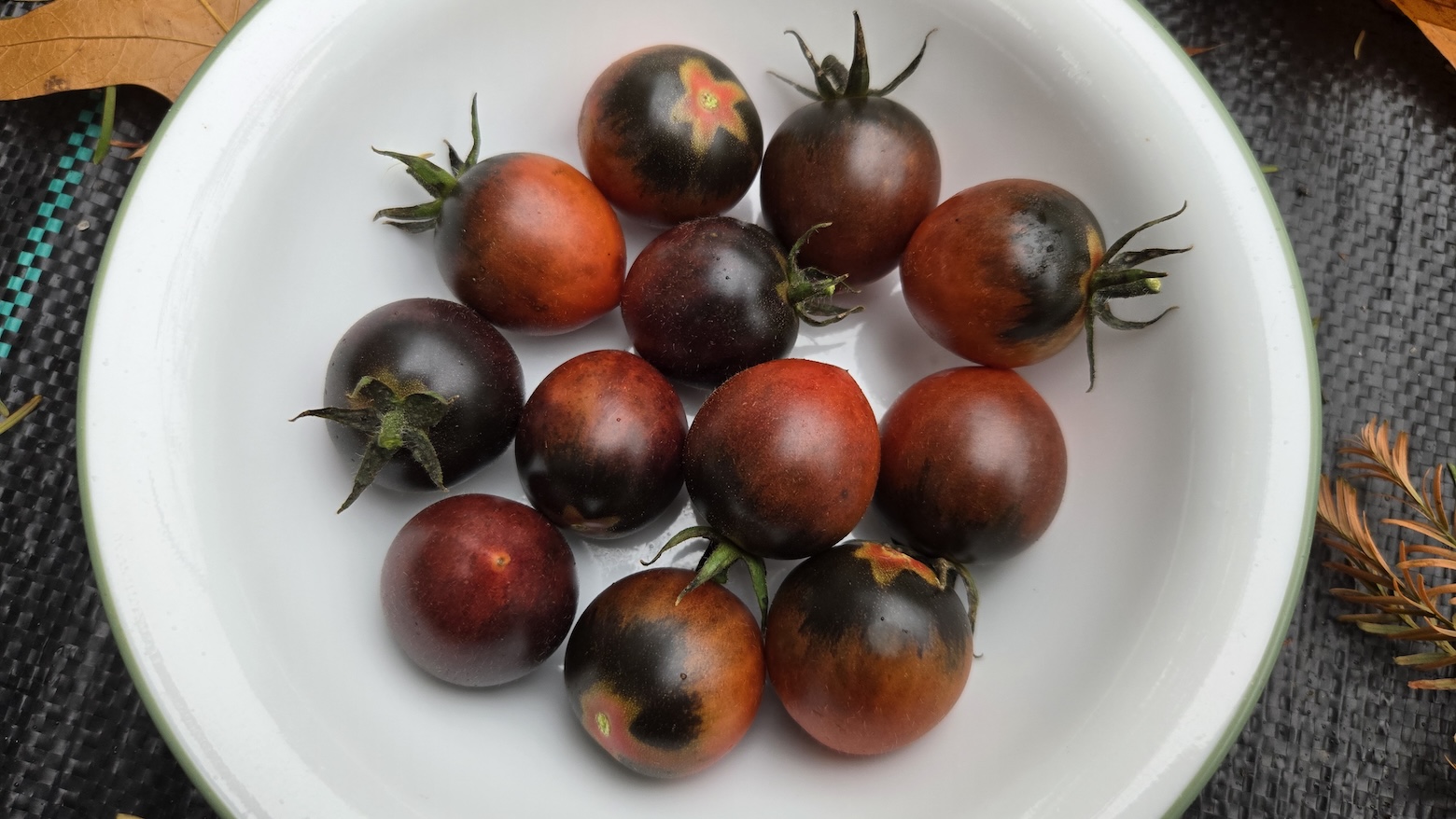 Black Beauties Tomato - Image 3