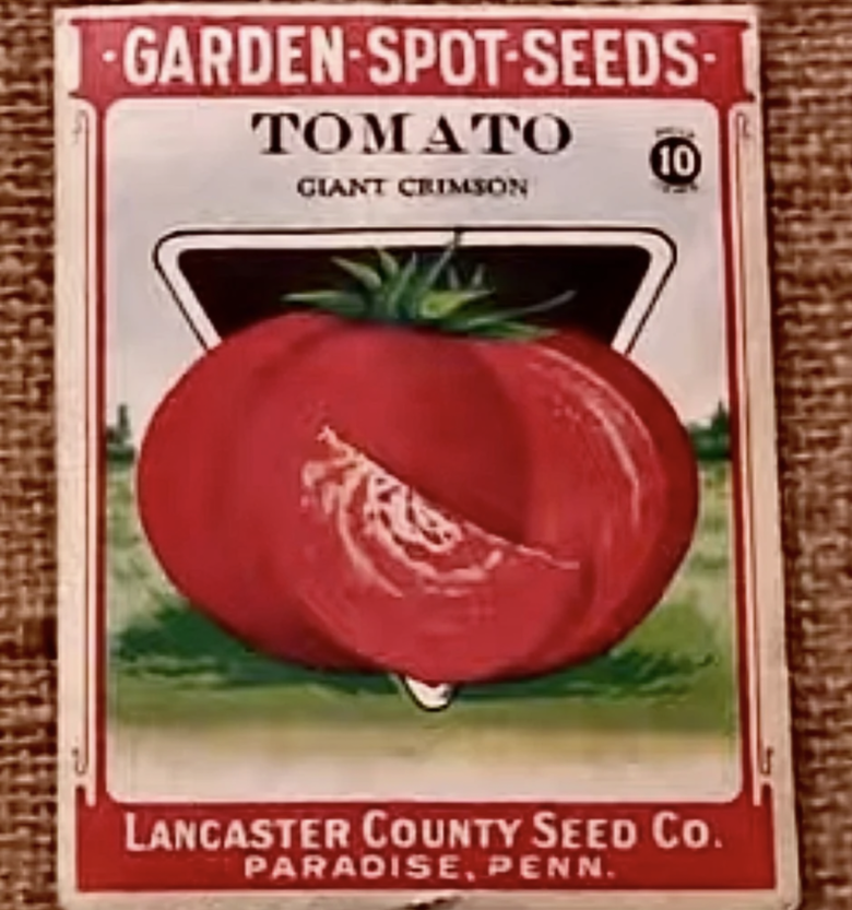 Giant Crimson Tomato - Image 5